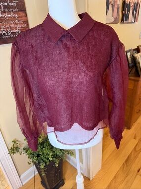 NWT Zara Burgundy Sheer Crinkle Collar Blouse Sweater Sz L